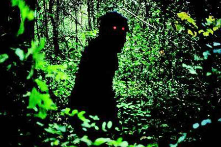 Uncle Boonmee 1