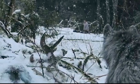 In January, the wolves of THE GREY were metaphorical.